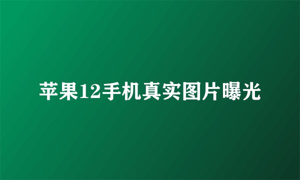 苹果12手机真实图片曝光