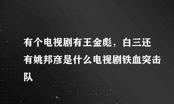 有个电视剧有王金彪，白三还有姚邦彦是什么电视剧铁血突击队