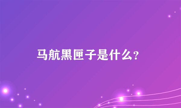 马航黑匣子是什么？