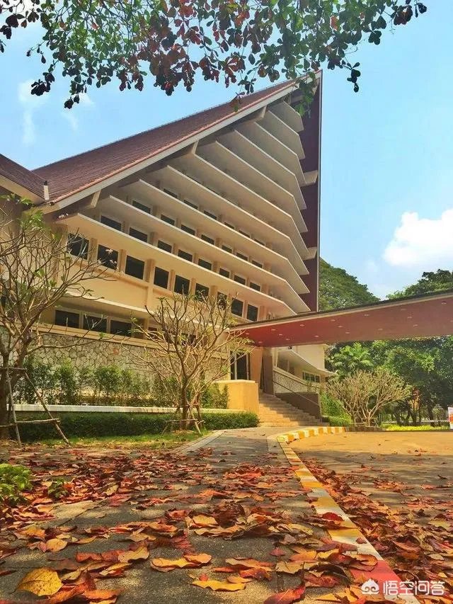 是在国内读专科好,还是去泰国留学好?