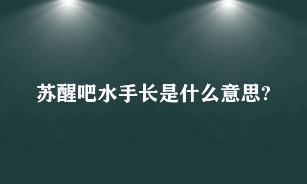 苏醒吧水手长是什么意思?