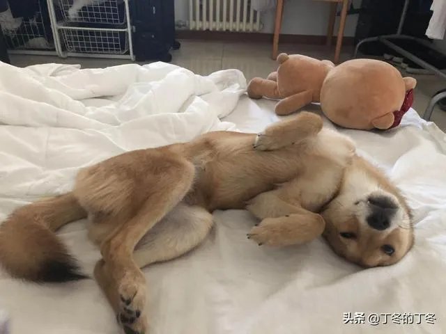 杨丞琳的恋爱史,你知道多少?