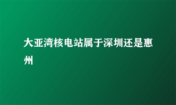 大亚湾核电站属于深圳还是惠州