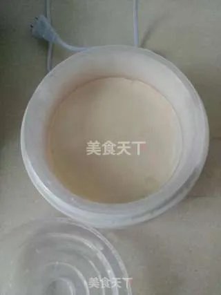 自制老酸奶