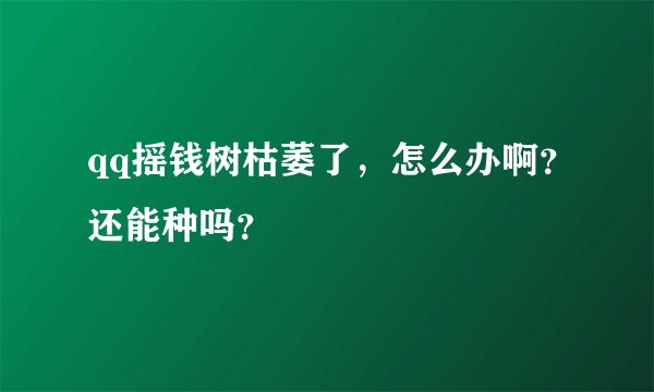 qq摇钱树枯萎了，怎么办啊？还能种吗？