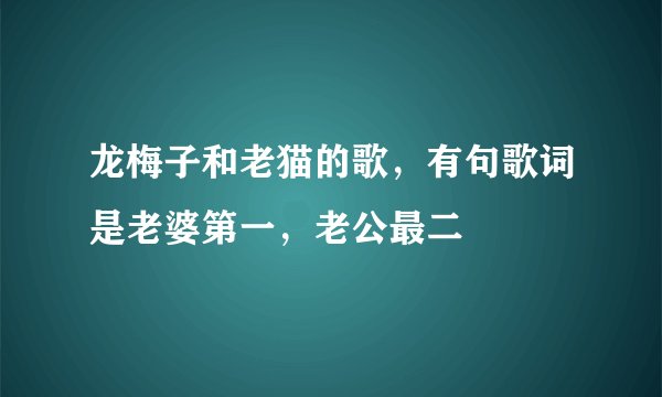 龙梅子和老猫的歌,有句歌词是老婆第一,老公最二