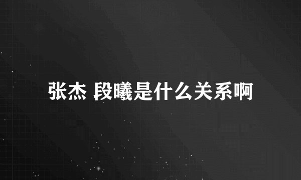 张杰 段曦是什么关系啊