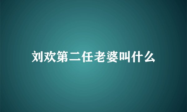 刘欢第二任老婆叫什么