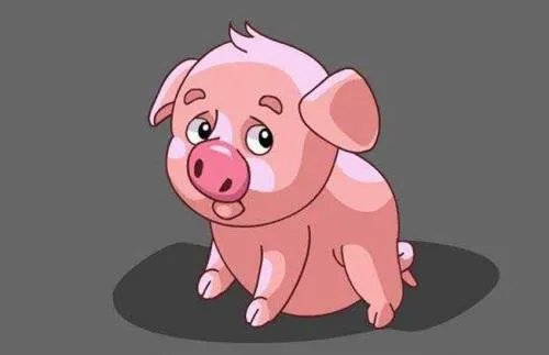 去年是什么年 2019年属什么生肖