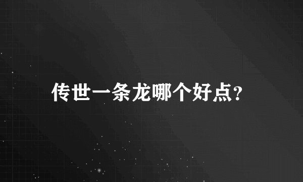 传世一条龙哪个好点？