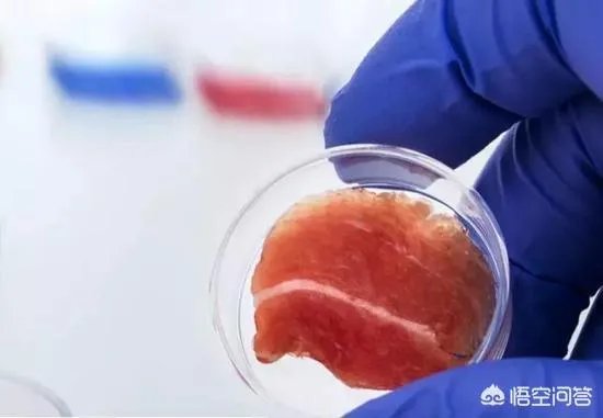 必胜客开卖首款人造肉披萨，你对人造肉有什么看法呢？