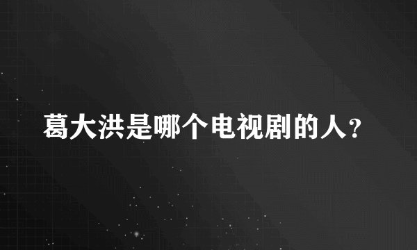 葛大洪是哪个电视剧的人？