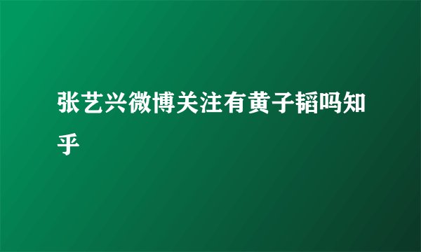 张艺兴微博关注有黄子韬吗知乎