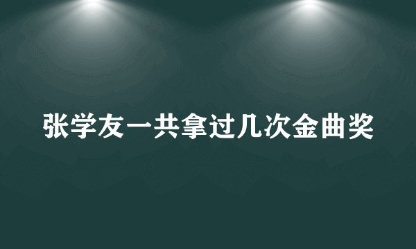 张学友一共拿过几次金曲奖