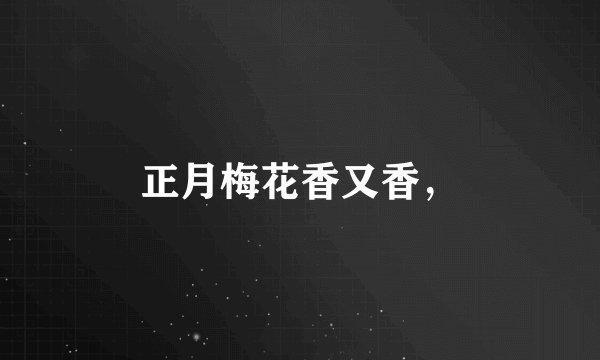 正月梅花香又香，
