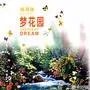 班得瑞最好听的几首曲子?