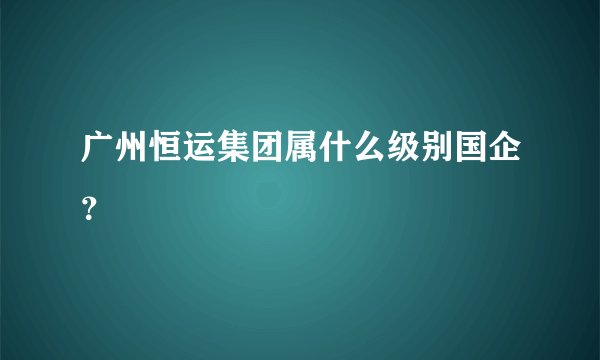 广州恒运集团属什么级别国企？