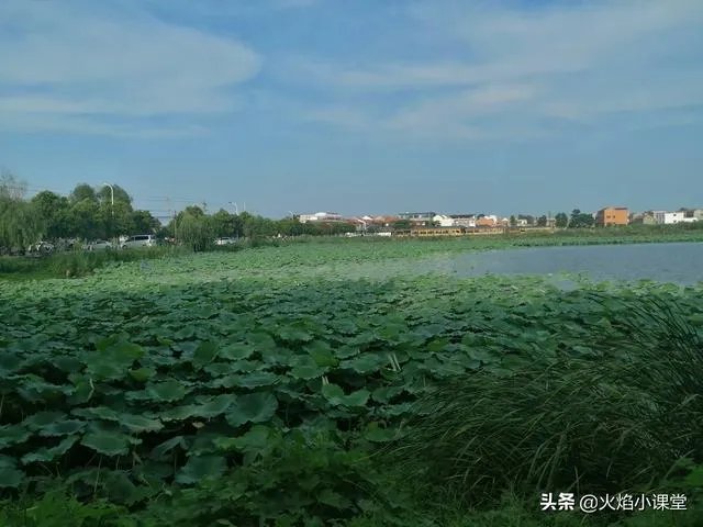 八段锦是否可以自学?