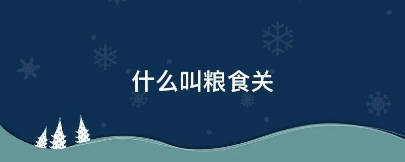 什么叫粮食关
