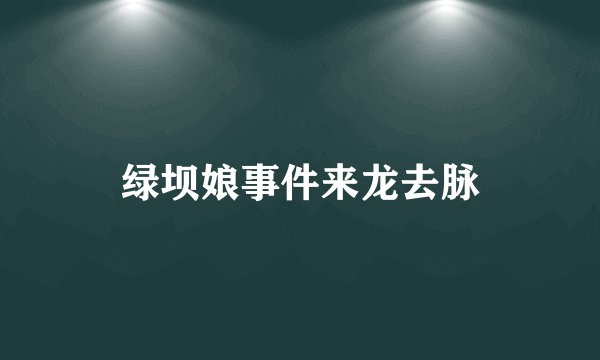 绿坝娘事件来龙去脉