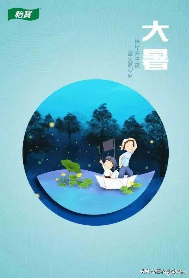 农村老话“大暑凉飕飕,立冬笑死牛”是啥意思?有道理吗?