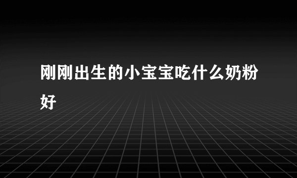 刚刚出生的小宝宝吃什么奶粉好