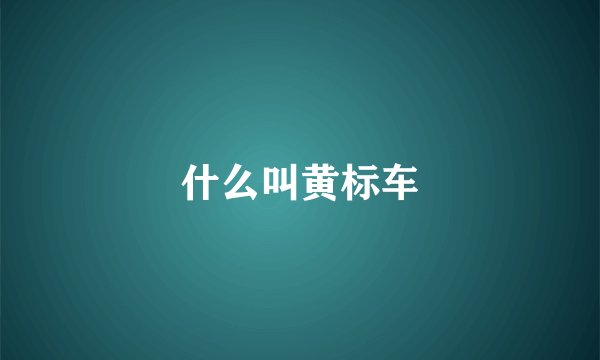 什么叫黄标车