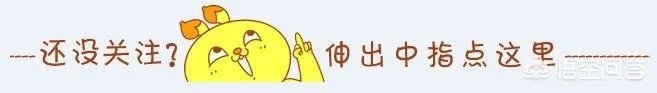 有没有什么好听的中国风音乐推荐?