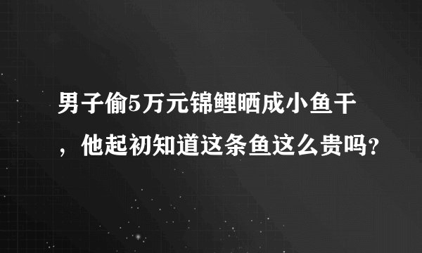 男子偷5万元锦鲤晒成小鱼干,他起初知道这条鱼这么贵吗?