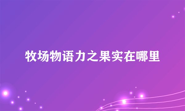 牧场物语力之果实在哪里