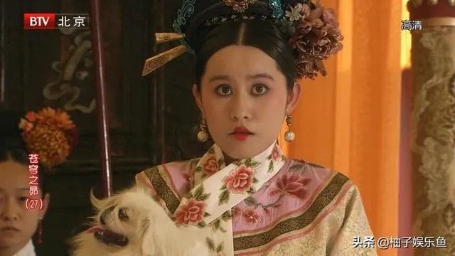 如何评价电视剧《苍穹之昴》?
