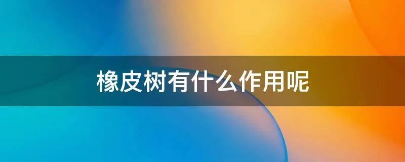 橡皮树有什么作用呢