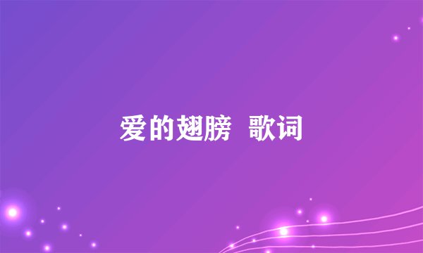 爱的翅膀  歌词