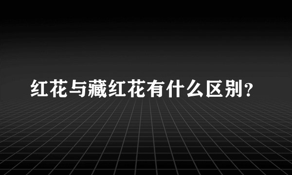 红花与藏红花有什么区别？