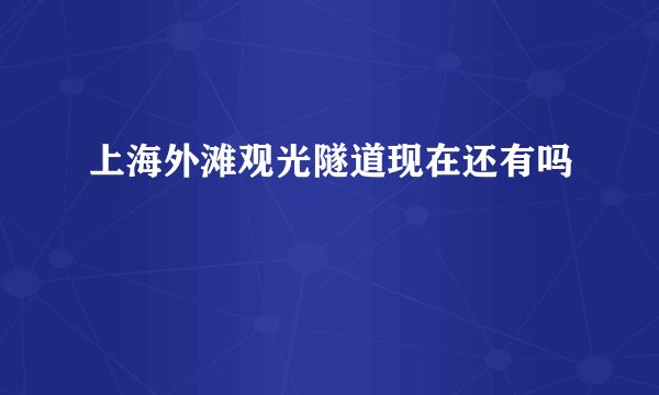 上海外滩观光隧道现在还有吗