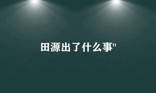 田源出了什么事
