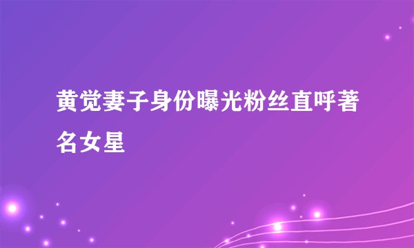 黄觉妻子身份曝光粉丝直呼著名女星