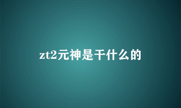 zt2元神是干什么的