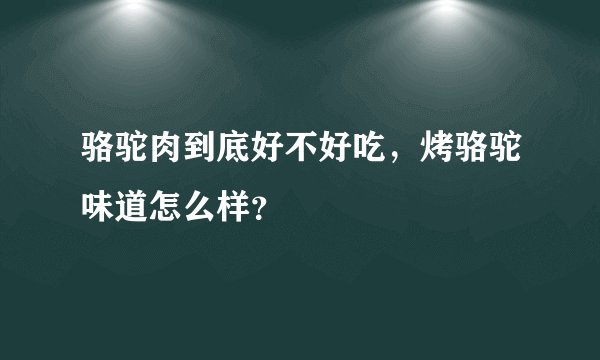 骆驼肉到底好不好吃，烤骆驼味道怎么样？
