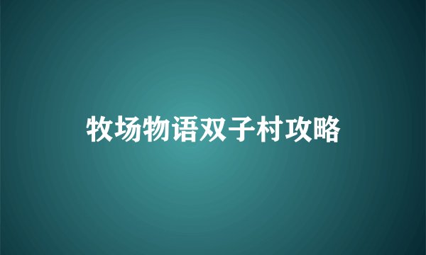 牧场物语双子村攻略