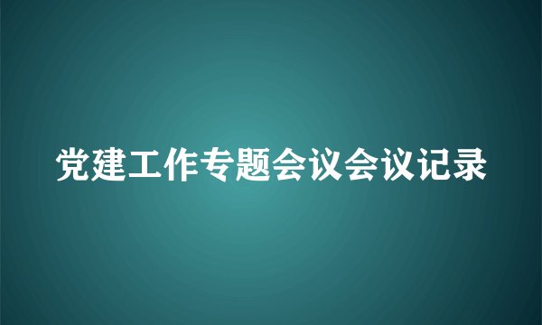 党建工作专题会议会议记录