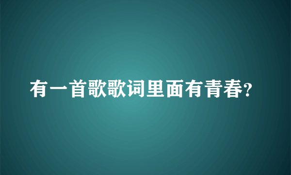 有一首歌歌词里面有青春？