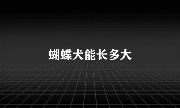 蝴蝶犬能长多大