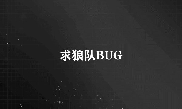 求狼队BUG