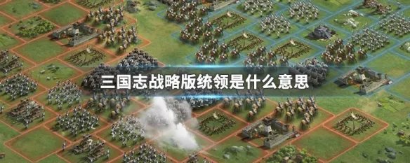 三国志战略版统领是什么意思