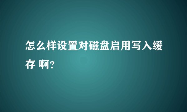 怎么样设置对磁盘启用写入缓存 啊？
