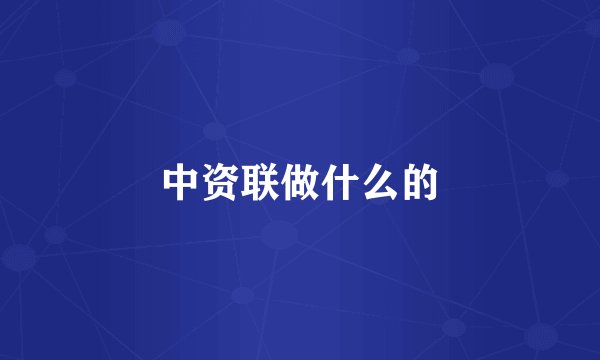 中资联做什么的
