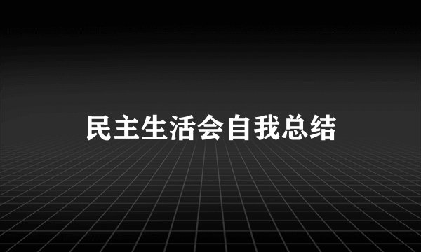 民主生活会自我总结