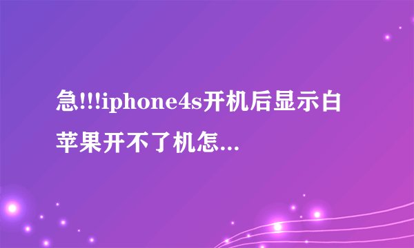 急!!!iphone4s开机后显示白苹果开不了机怎么处理?