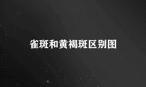 雀斑和黄褐斑区别图